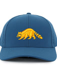 Atlantic Blue Raccoon Low Pro Waterproof Hat
