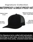 Black Mesh Signature