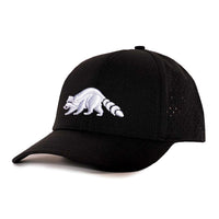 Low Pro hat
