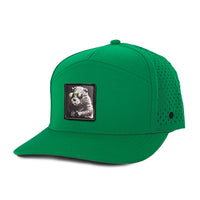 Low Pro hat