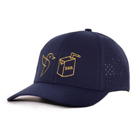 Low Pro hat