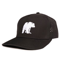 Low Pro hat