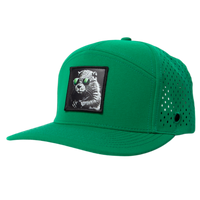 Low Pro hat