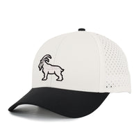 Low Pro hat