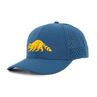 Low Pro hat