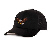 Low Pro hat