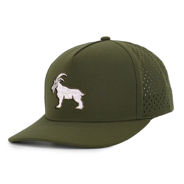 Animal Hats